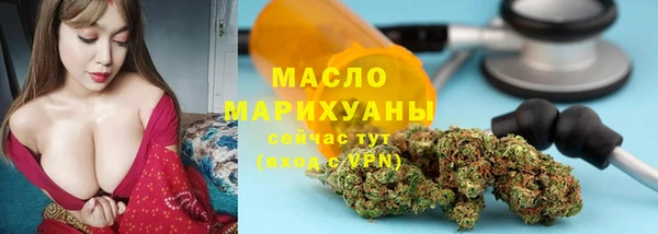 амф Болотное
