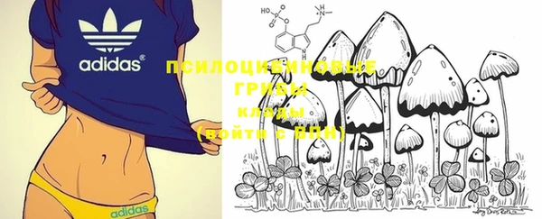 а пвп мука Болохово